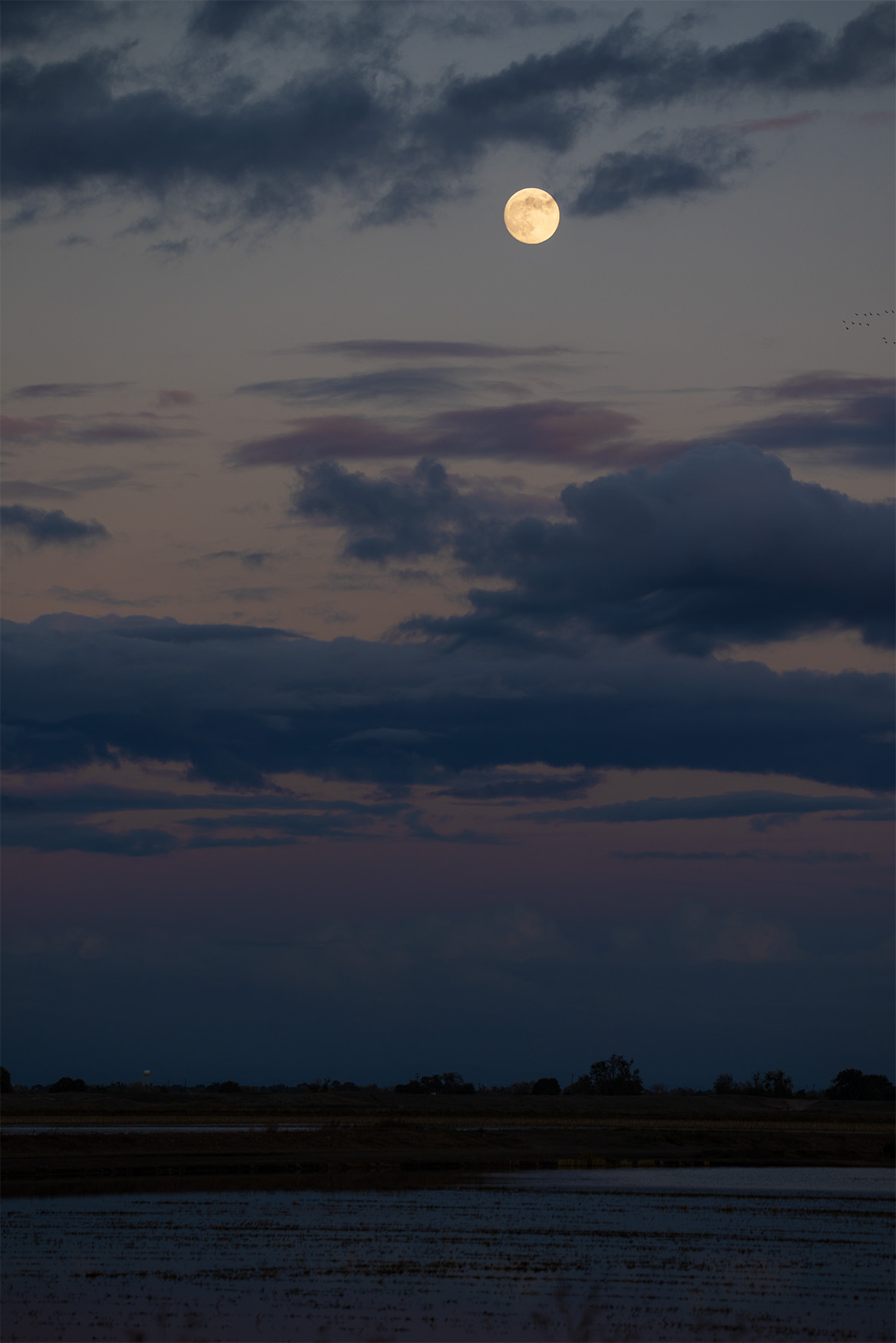 Moonrise on Staten Island Road