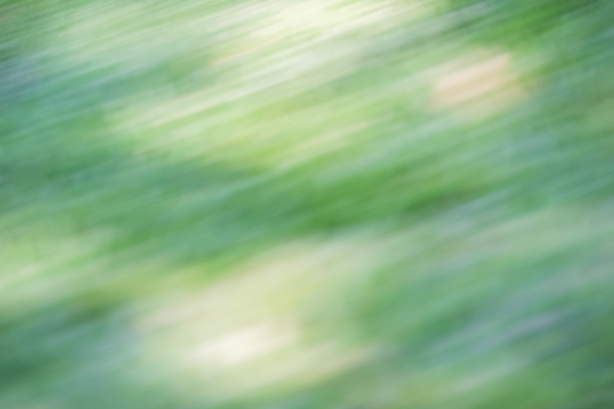 April 2026 - Mary Ann Carrasco