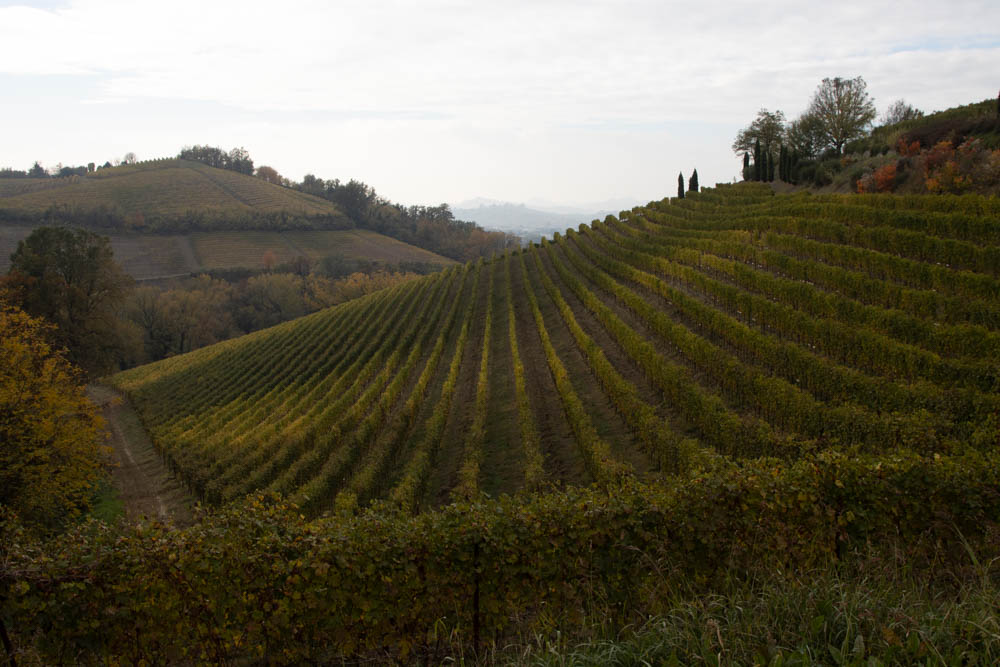 April 2026 - Andres Valdespino