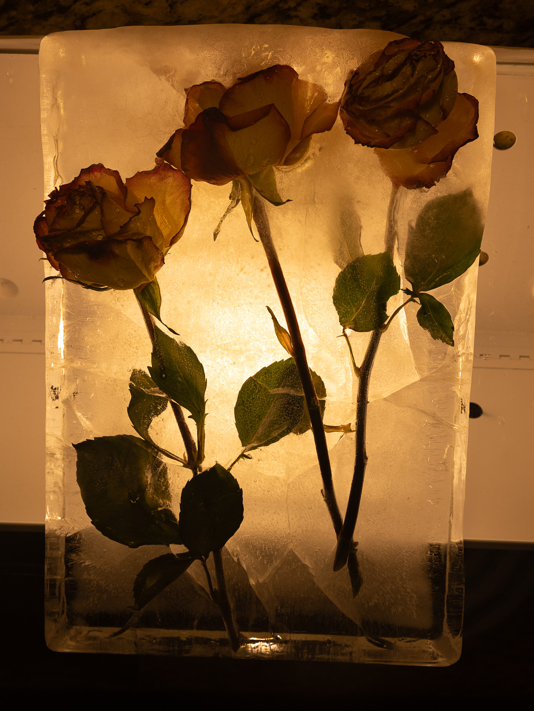 May 2025 - Ruth Sprain