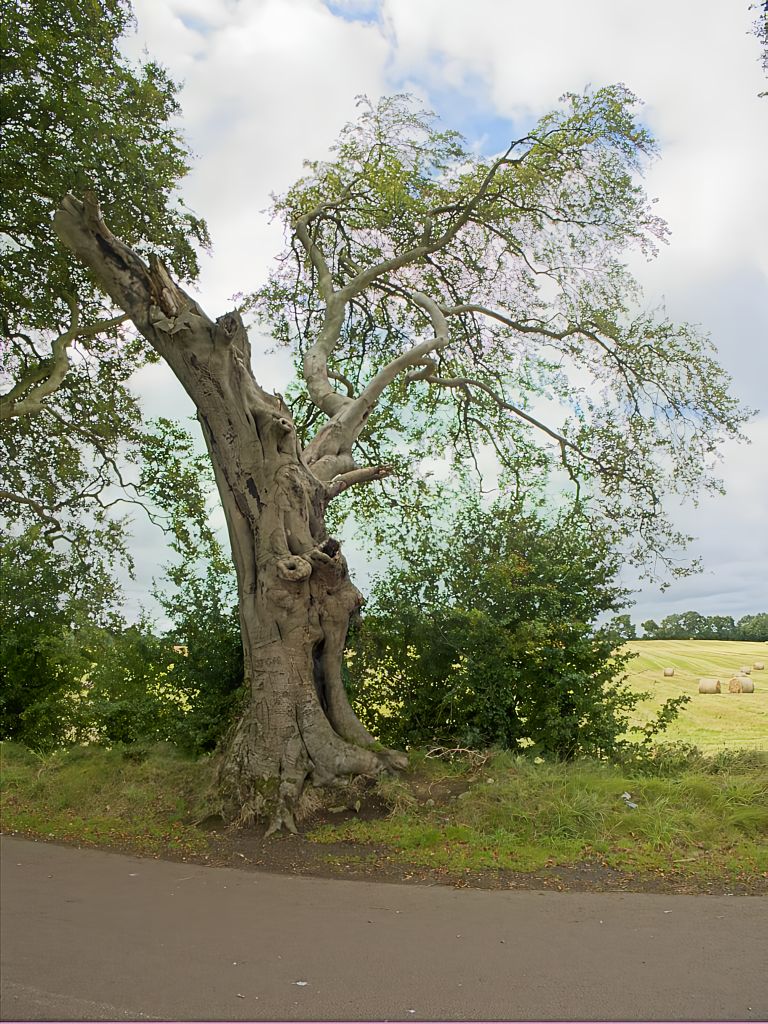 December 2025 - Guy Davies, EPSA