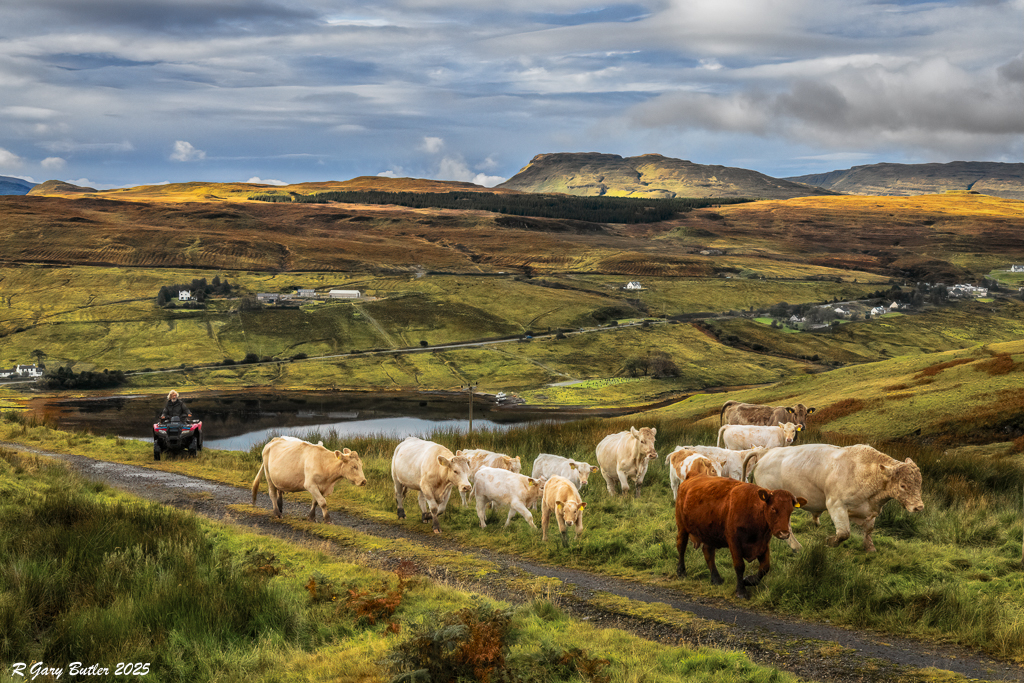Highlands Farmer by R Gary Butler