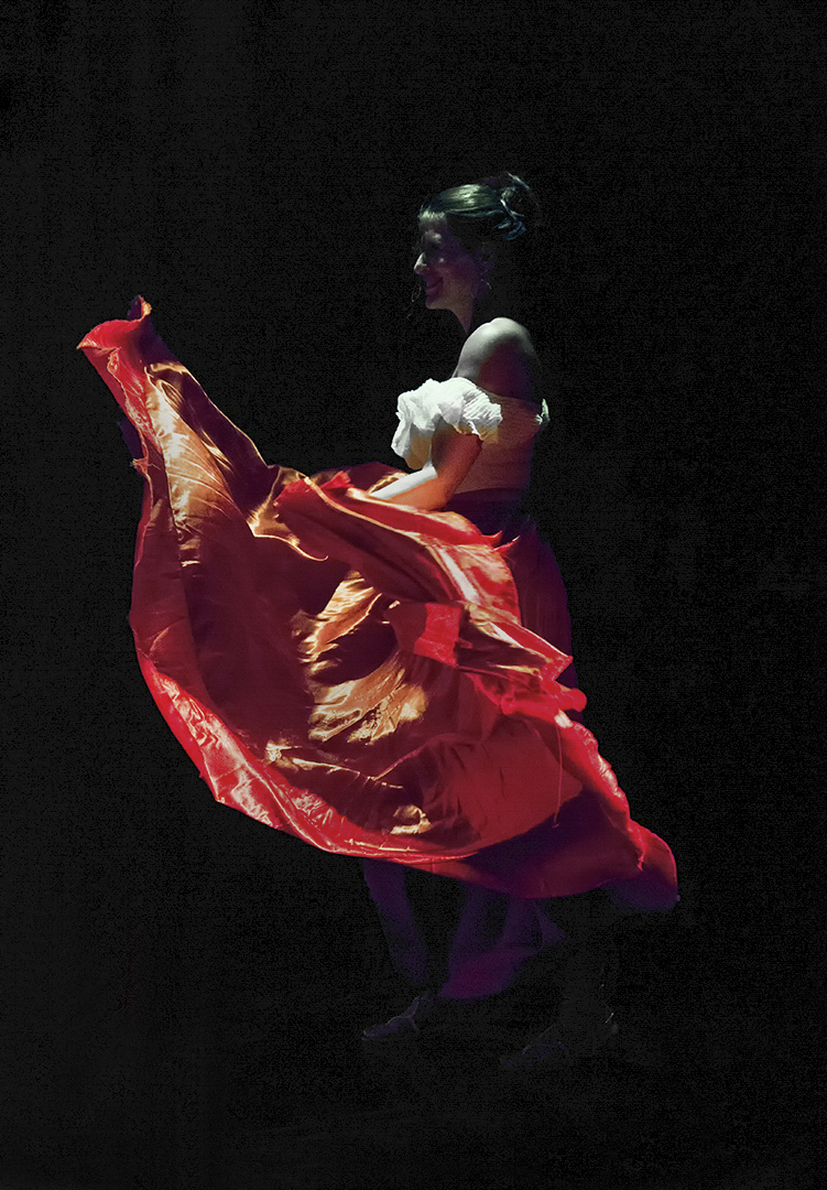Dancing In The Shadows by Ian Chantler