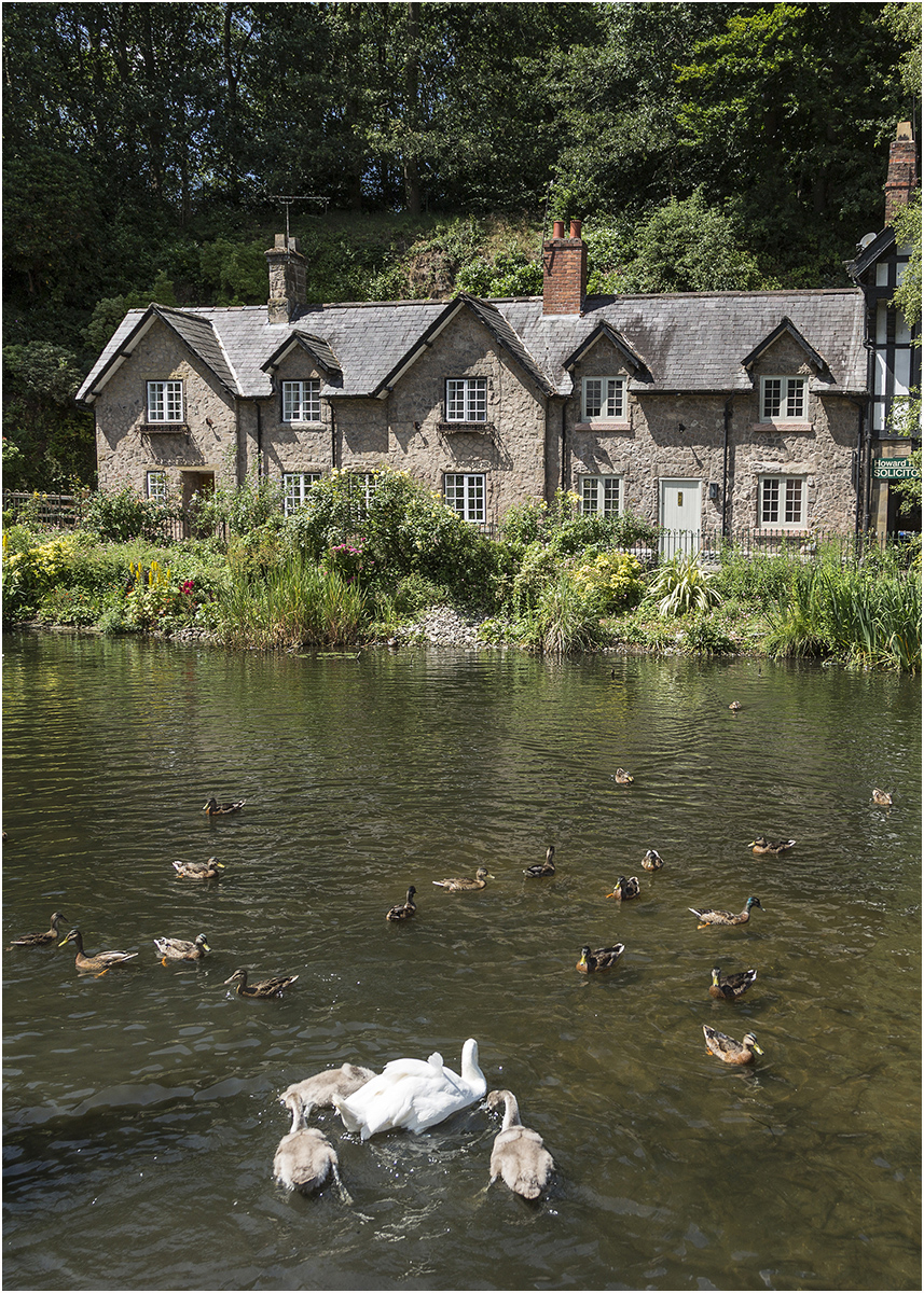 Lower Dam in Lymm by Ian Chantler