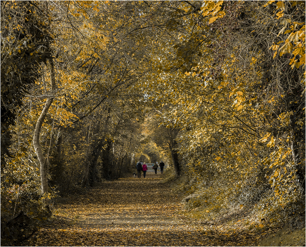 Autumn Stroll by Ian Chantler