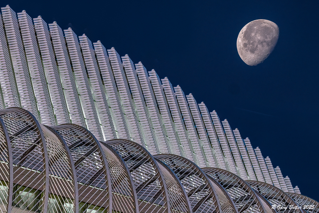 Moon Over Florida Poly by R Gary Butler