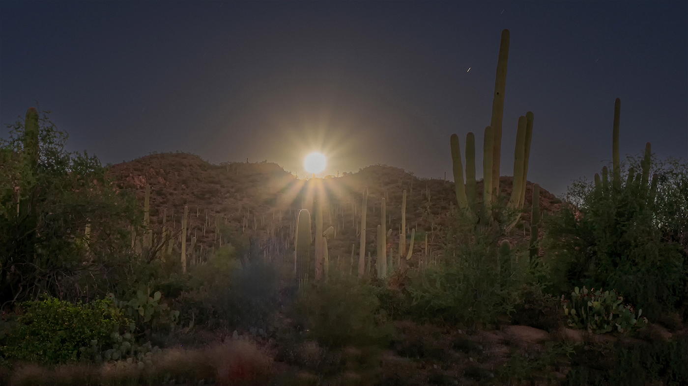 Moon Rays by Erik Rosengren