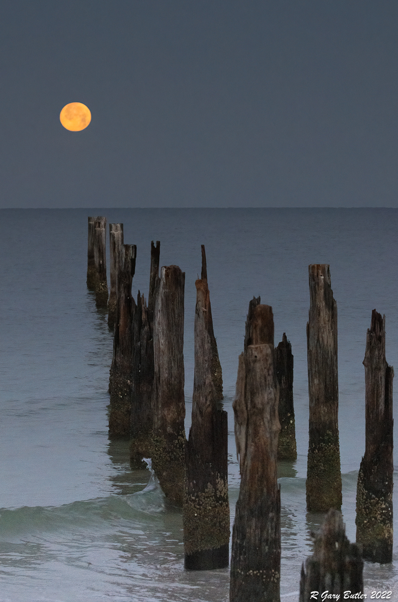 Moonset at Estero Lagoon by Gary Butler, QPSA