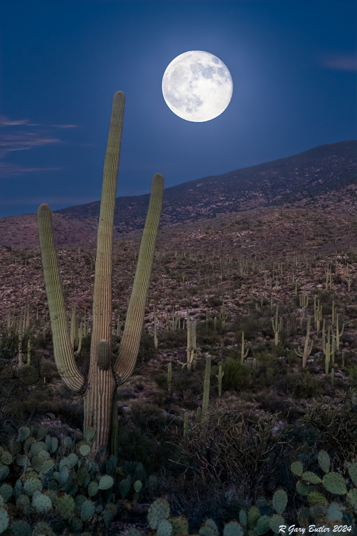 Saguaro Moonrise by R Gary Butler