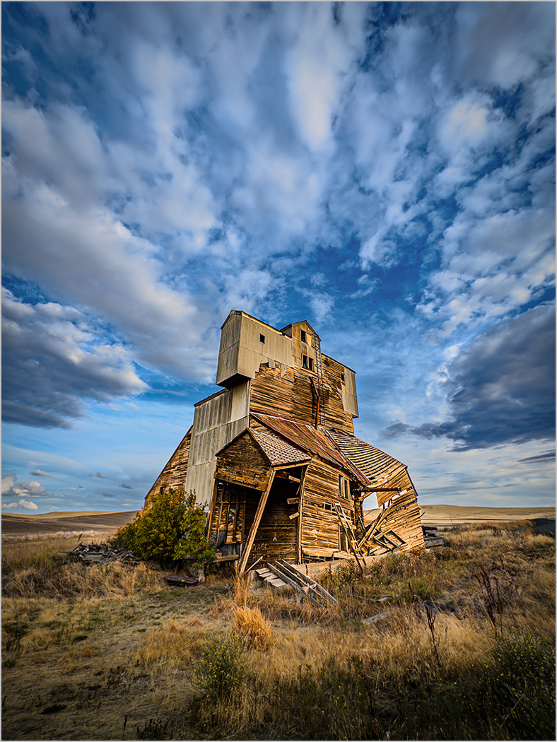 Pullman Grain Elevator by Bill Buchanan