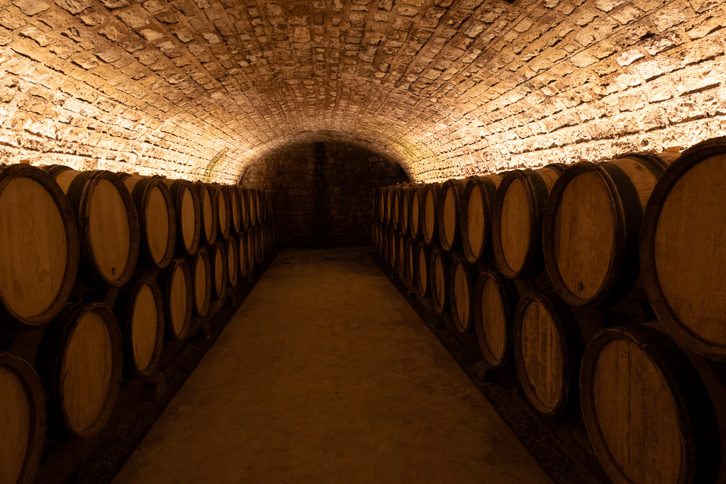 November 2025 - Vella Kendall