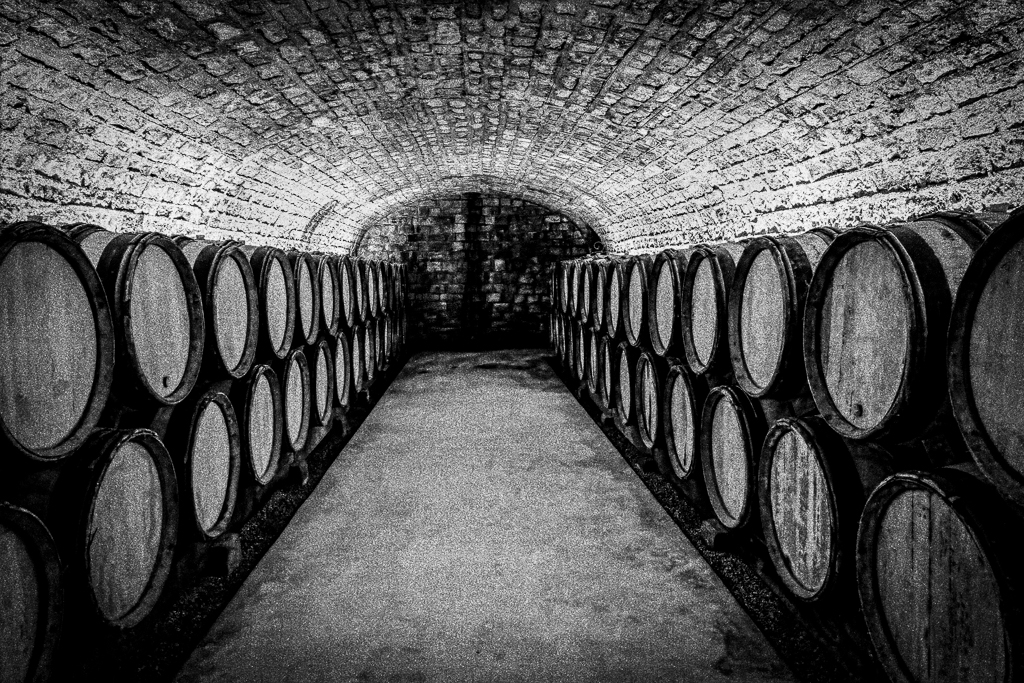 Wheel Barrows by Vella Kendall