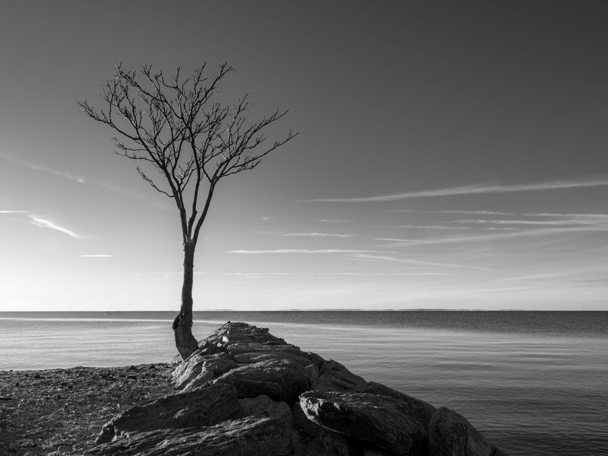 Alone  by the shore by Anna Proczek