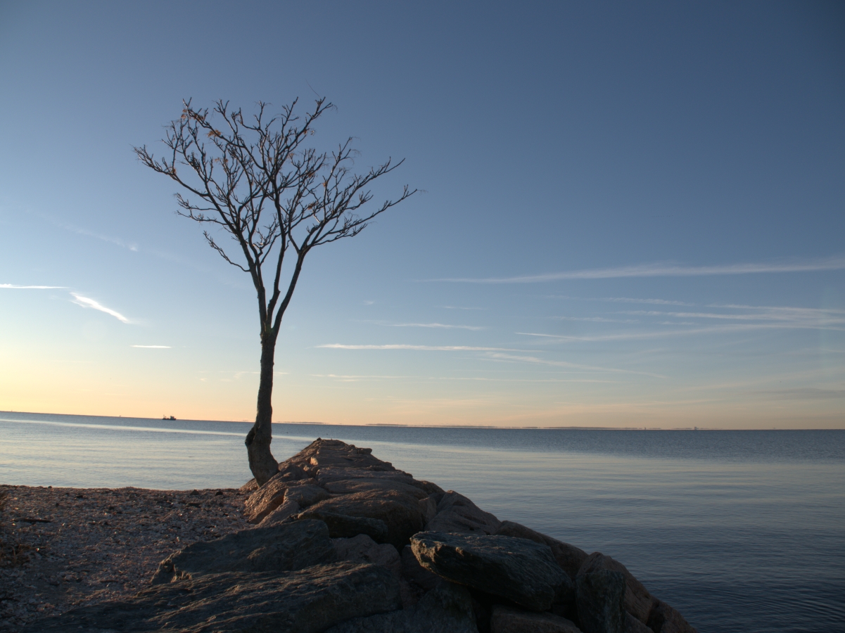 December 2025 - Anna Proczek