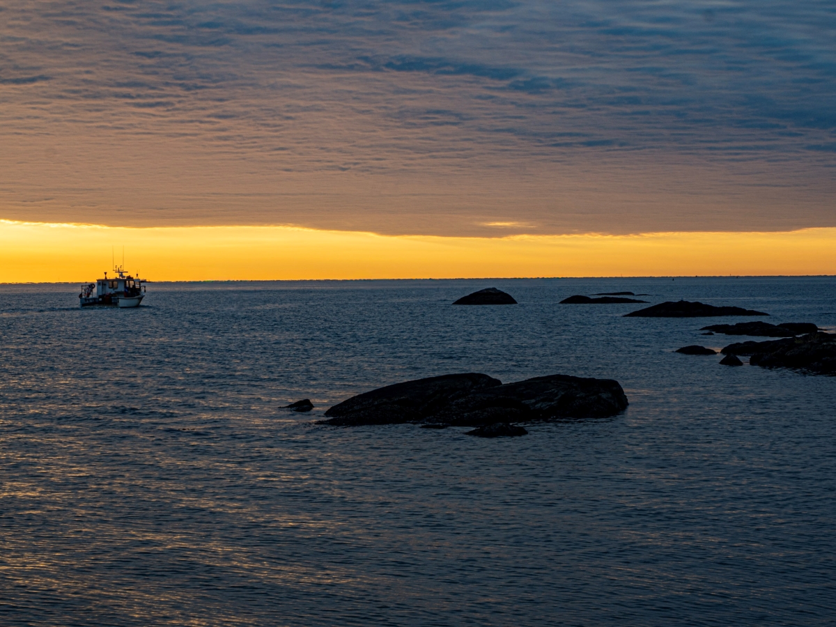 Quiet  waters  at Dawn by Anna Proczek