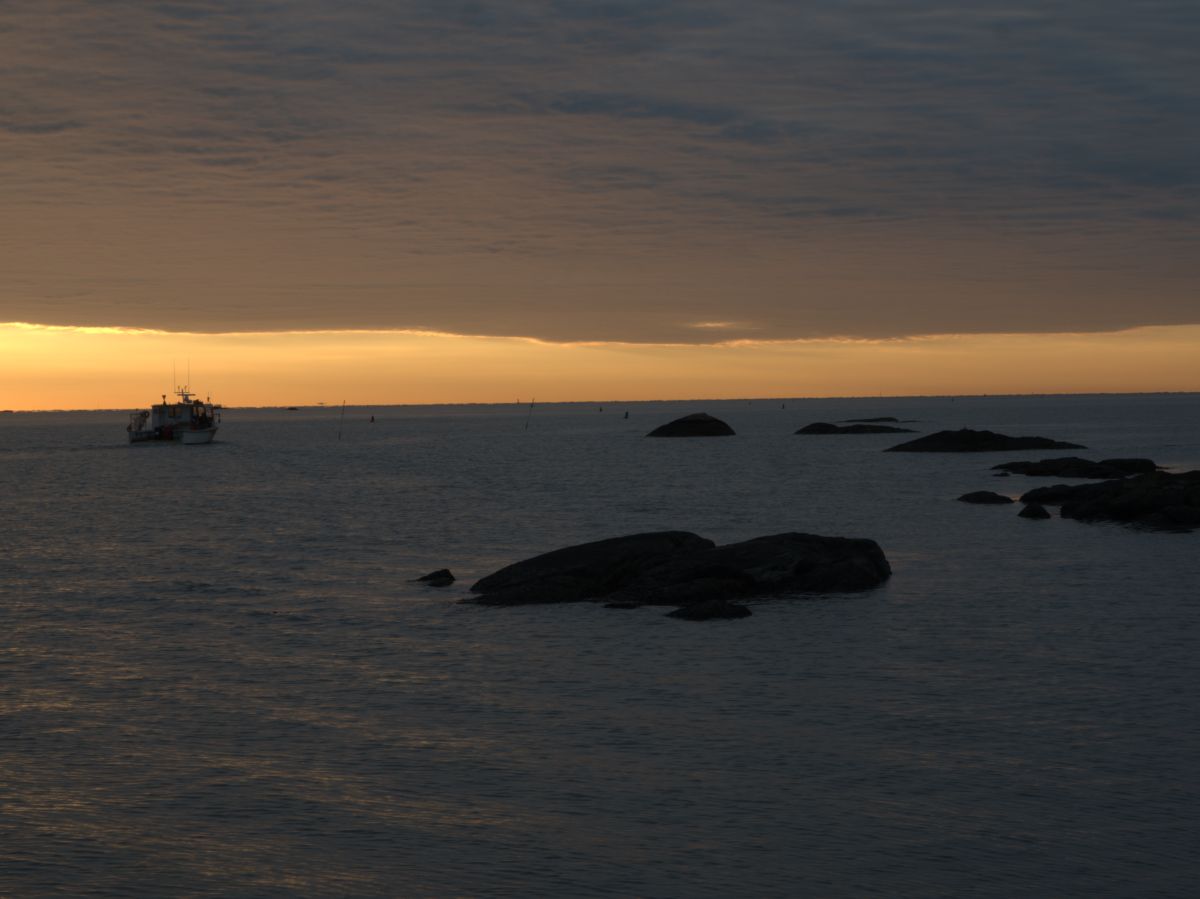 November 2025 - Anna Proczek