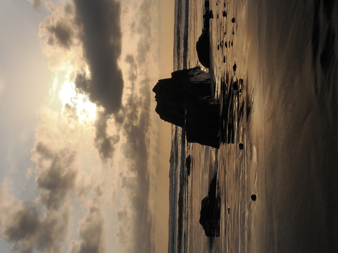 April 2026 - Anna Proczek