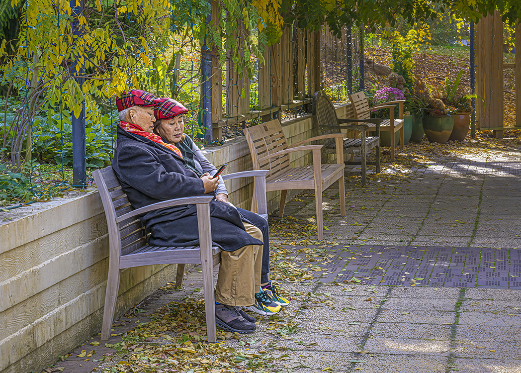 Hats by Oliver Morton