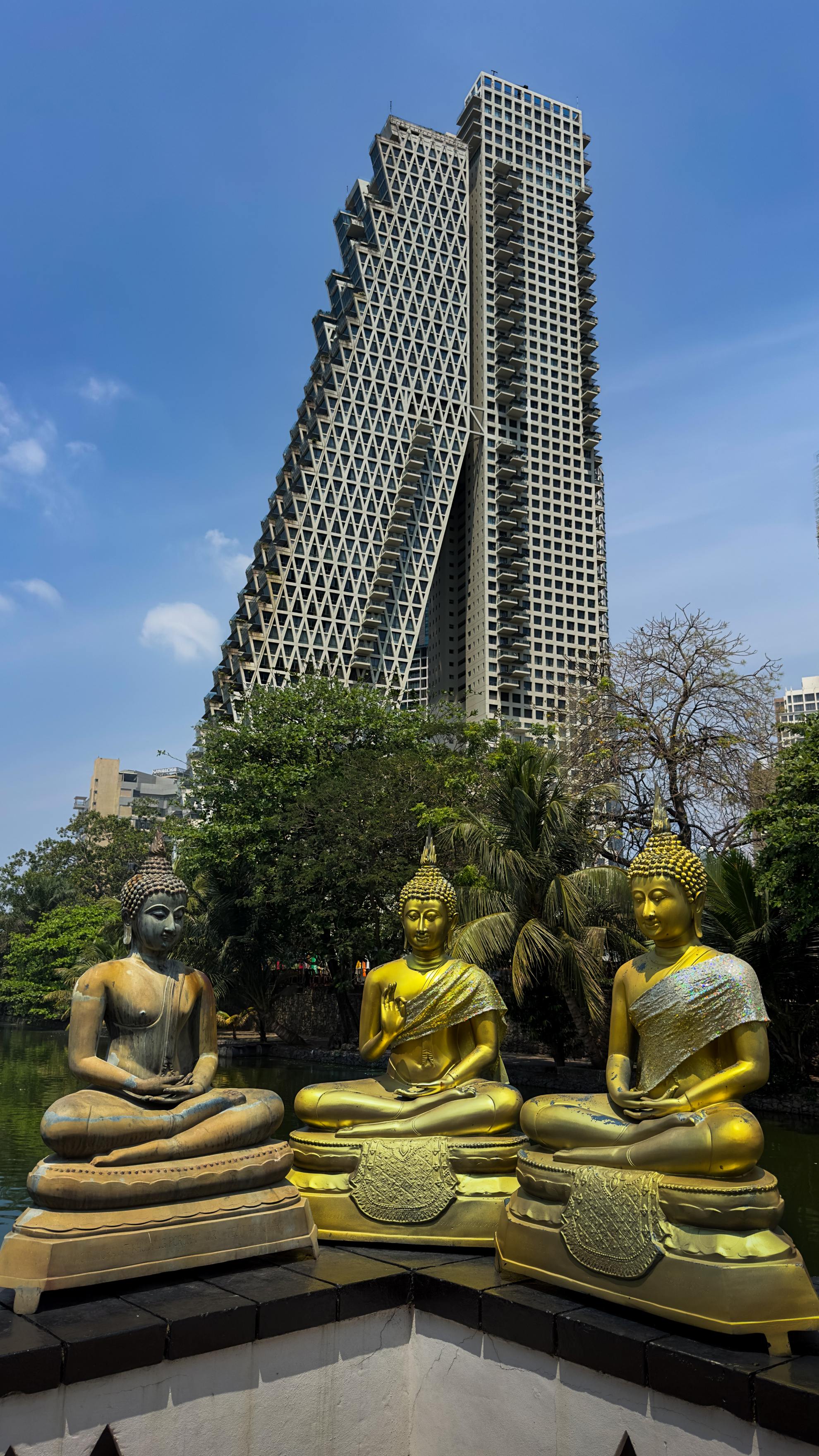 December 2025 - Sophia Schade