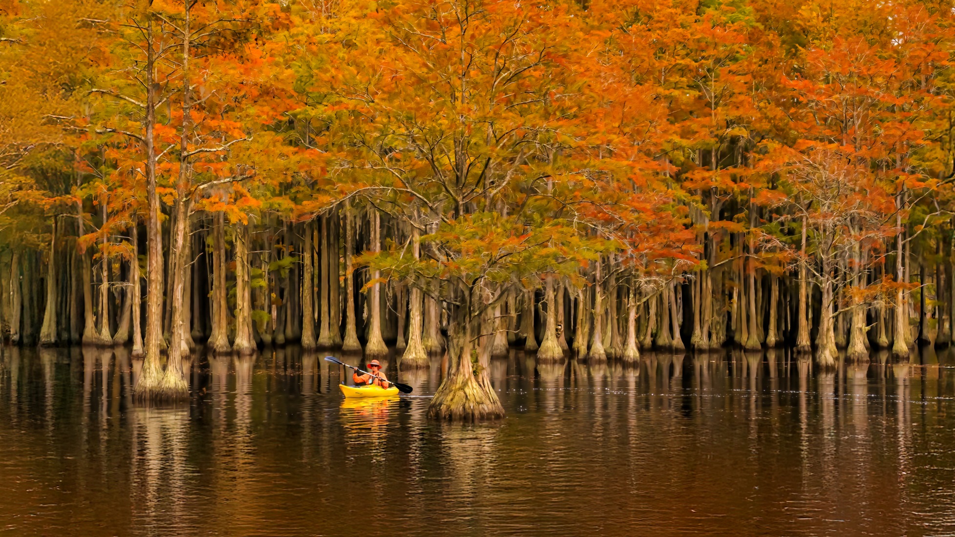 Fall in Low Country