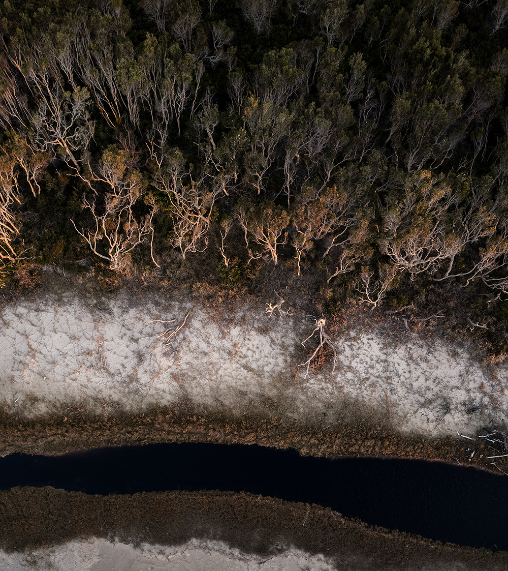 Shoreline