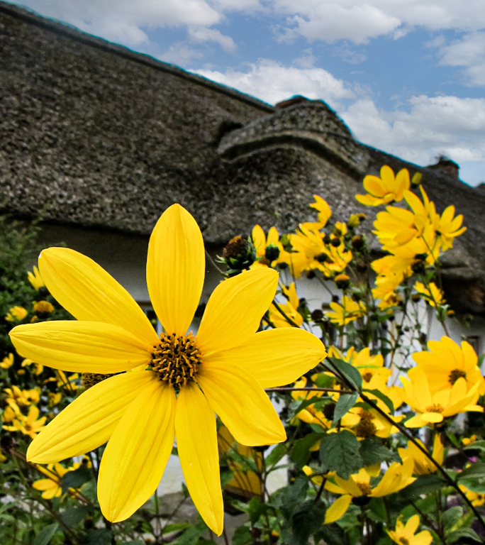 In An Irish Village by James Silliman