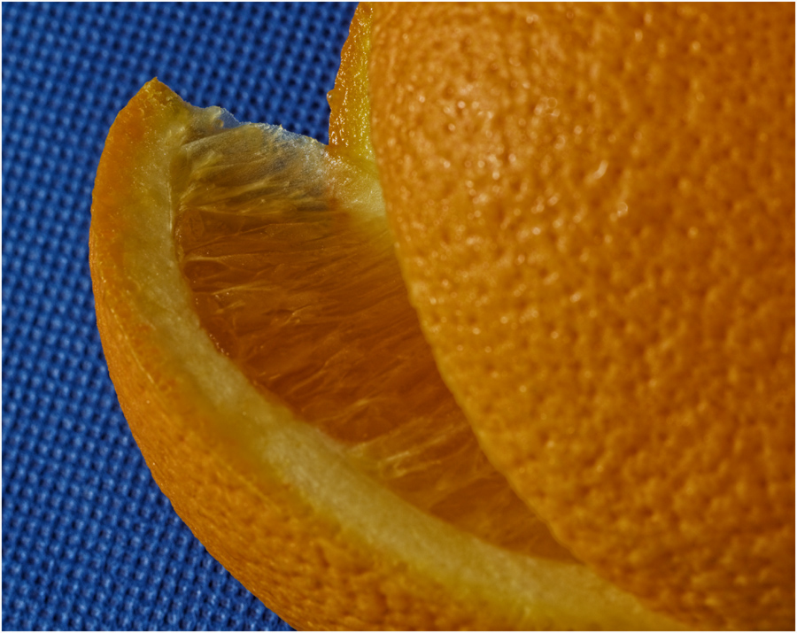 Slice of orange by Charissa Lansing