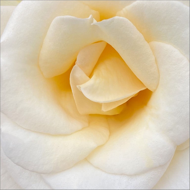 Glowing Warmth by Charissa Lansing