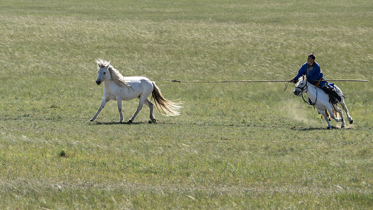 Gottcha by Hoshedar Cooper