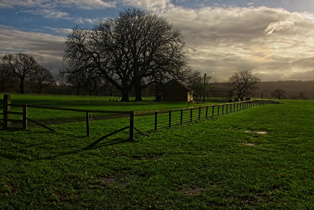 Harewood by Gaetan Manuel