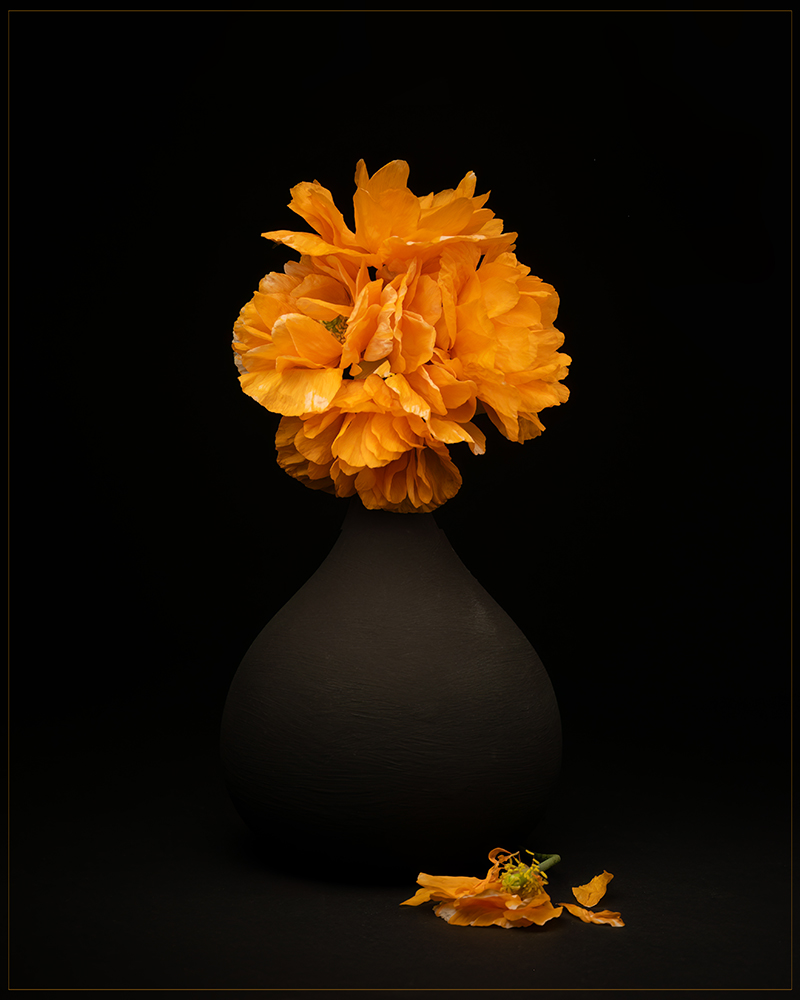 Poppies in a Vase by Judith Flacke