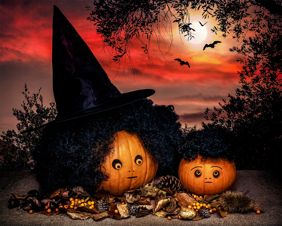 Spell-ing lessons by Judith Flacke