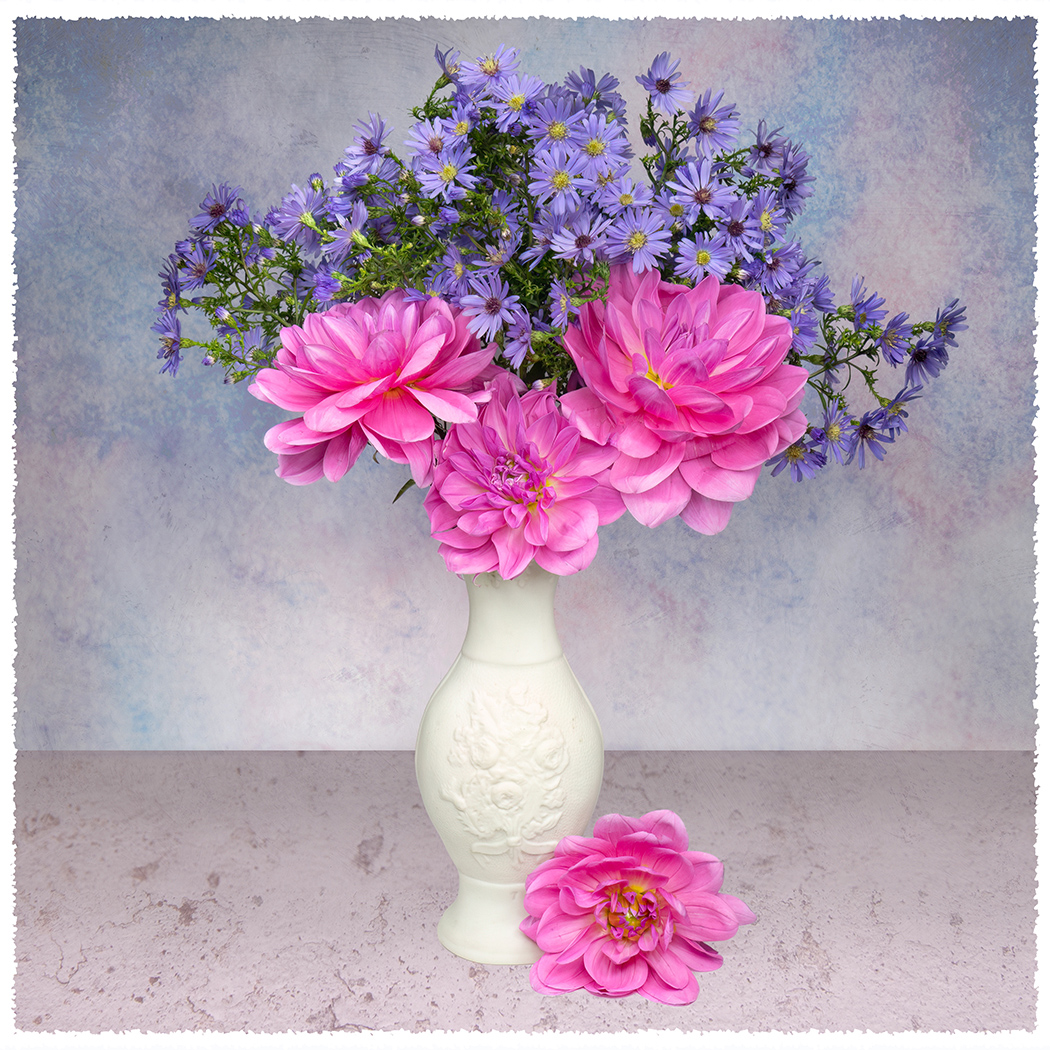 Pretty with Pink by Judith Flacke