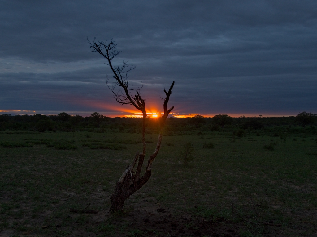 Sunset in Kruger Park, South Africa by Gaetan Manuel