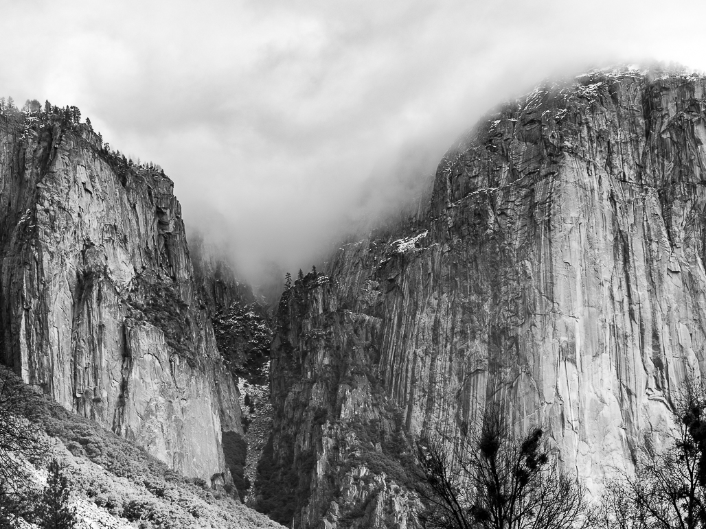 Yosemite Snow Tops by Tomi Kelley