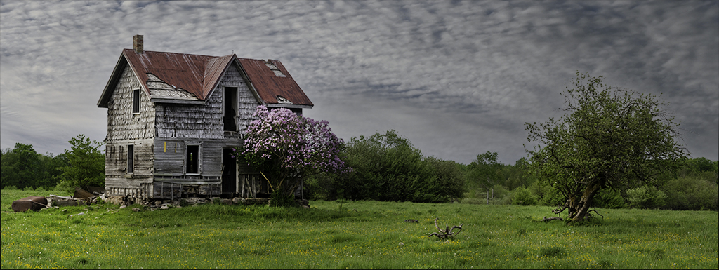 Abandoned House by Marcus Miller