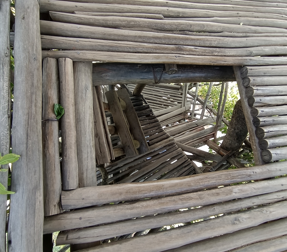 Lookout tower - inside view by N. Sukumar