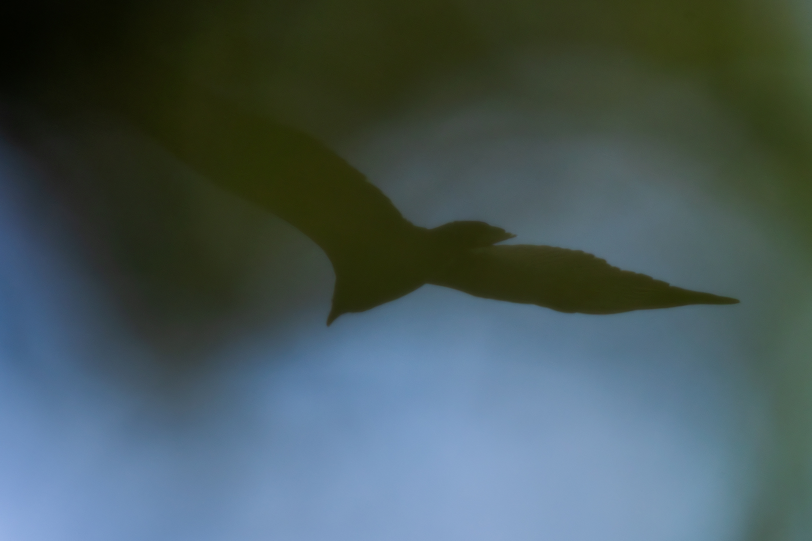 Untitled by Ken Fowkes