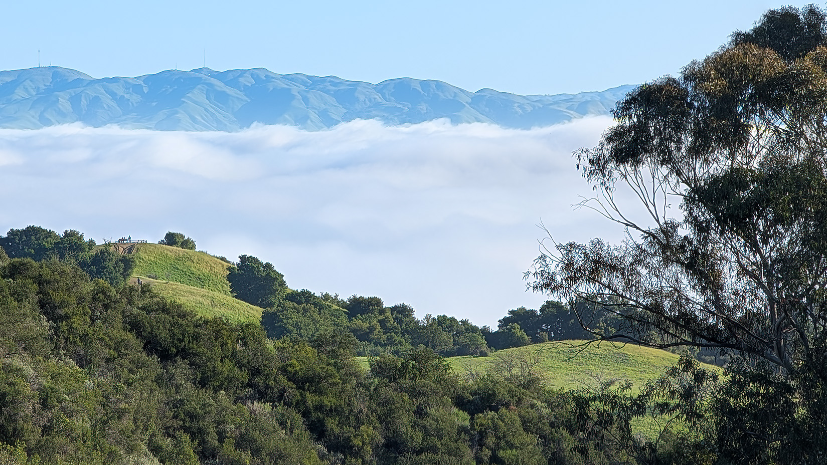 Overlooking Silicon Valley by Ken Fowkes
