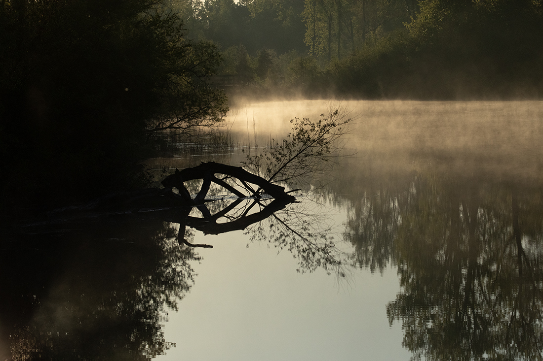 November 2025 - Jim Overfield