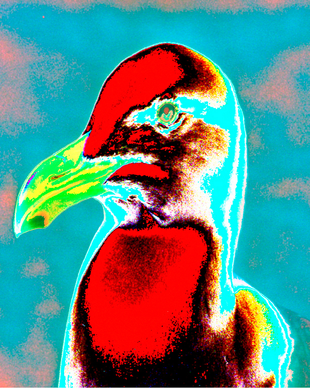 Psychedelic 3D Bird by John Larson, FPSA, MPSA2