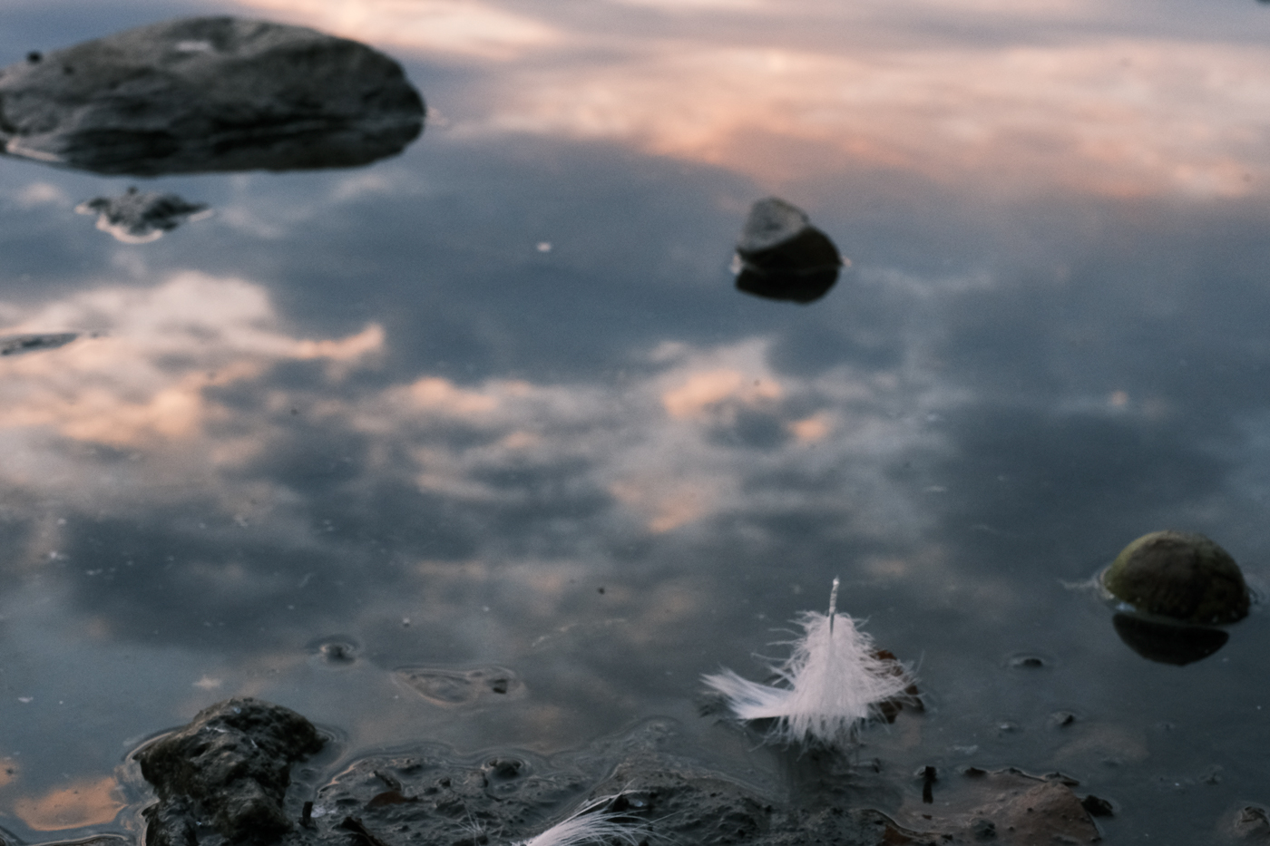 A Fleeting Moment by Yvonne Cary Carter