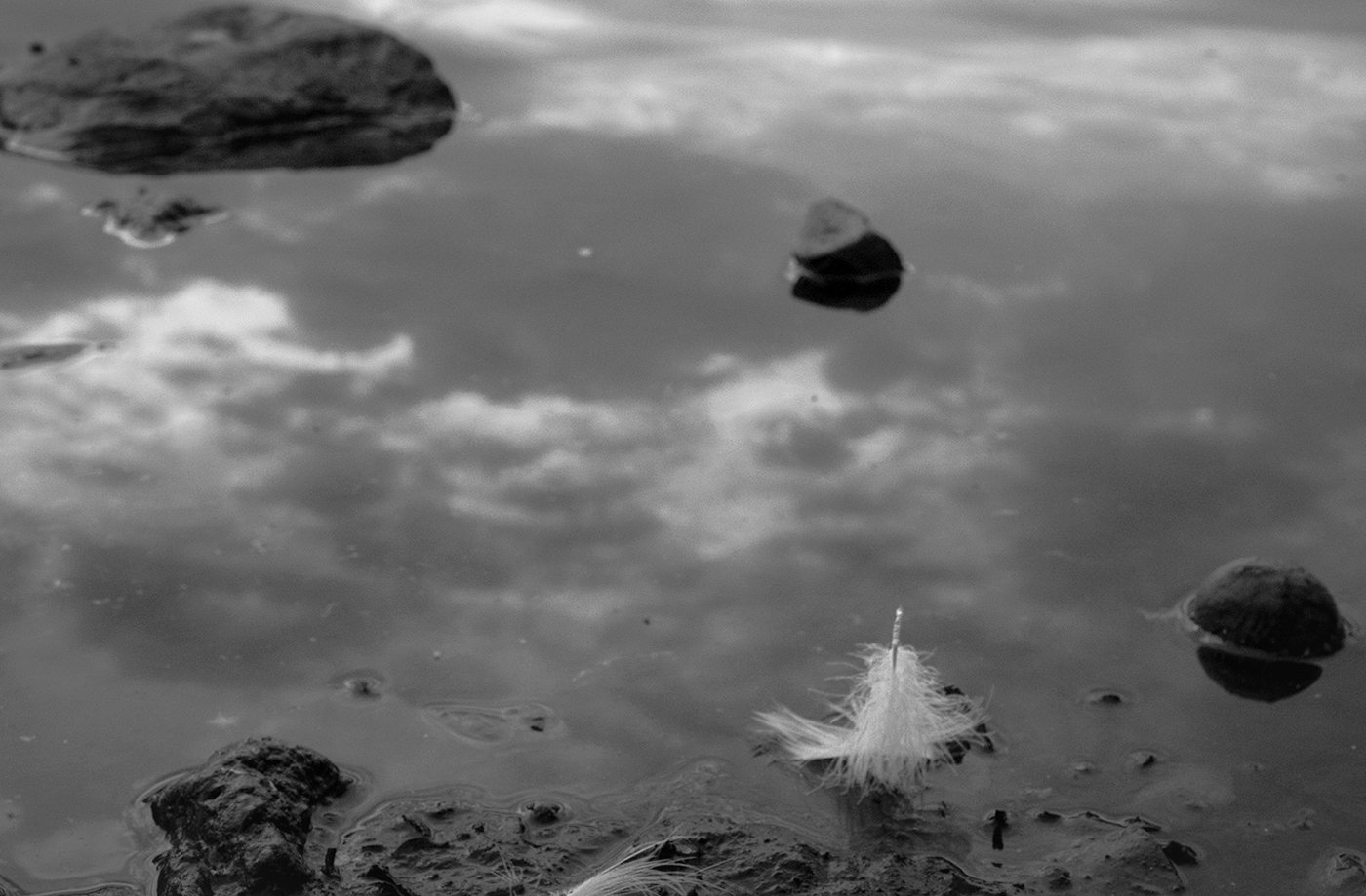 April 2026 - Yvonne Cary Carter