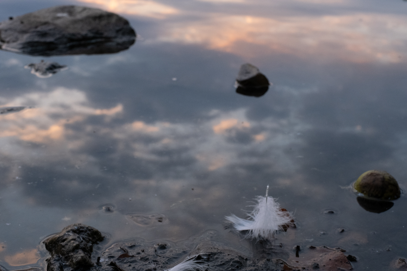 April 2026 - Yvonne Cary Carter