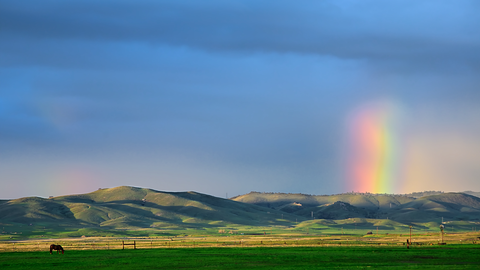 After the Storm