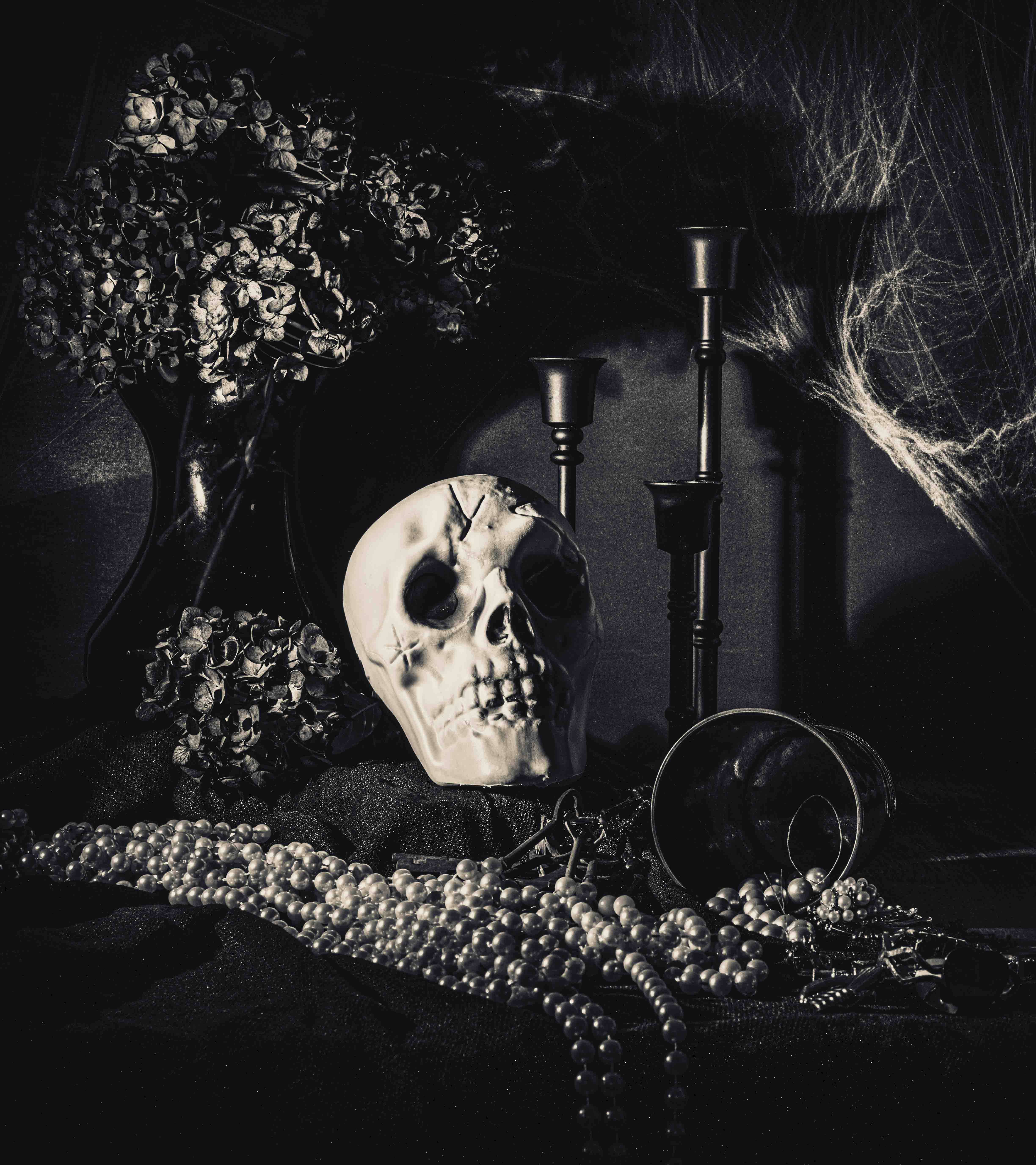 Gothic Still life by Sylvia Williams