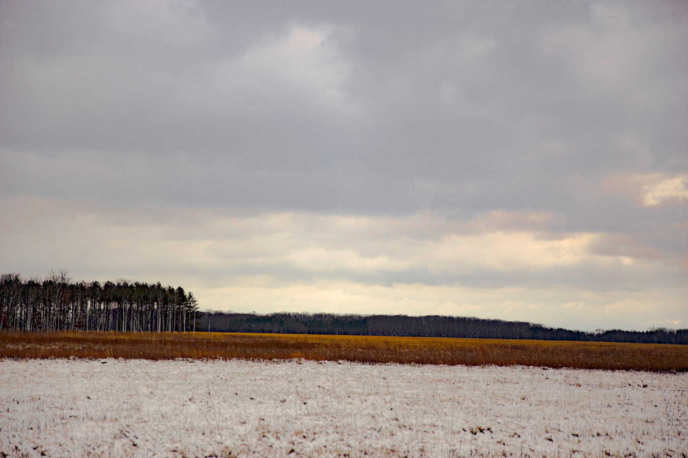 Tinley Park’s Bartel Grassland