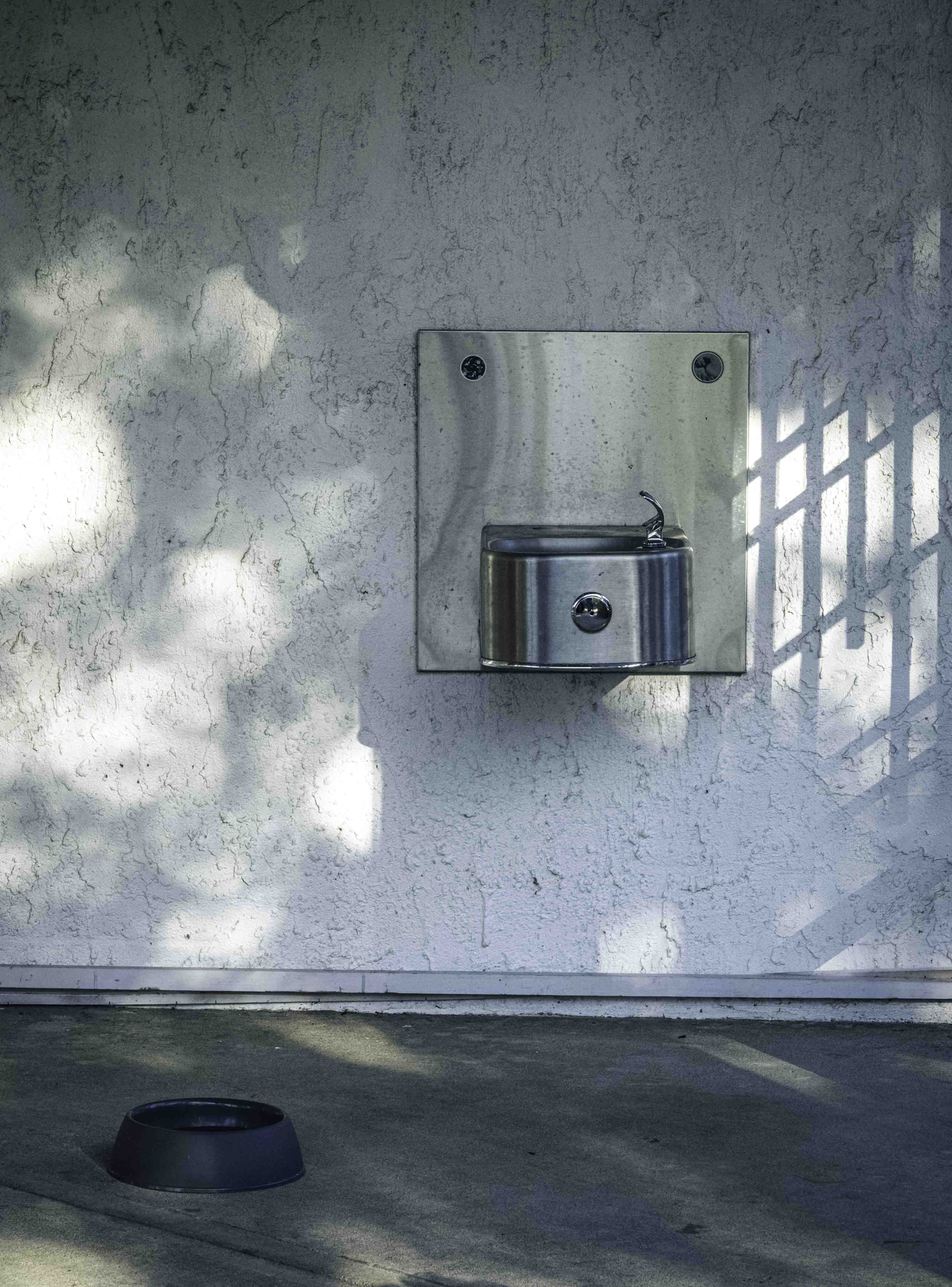 Water for all by Sylvia Williams