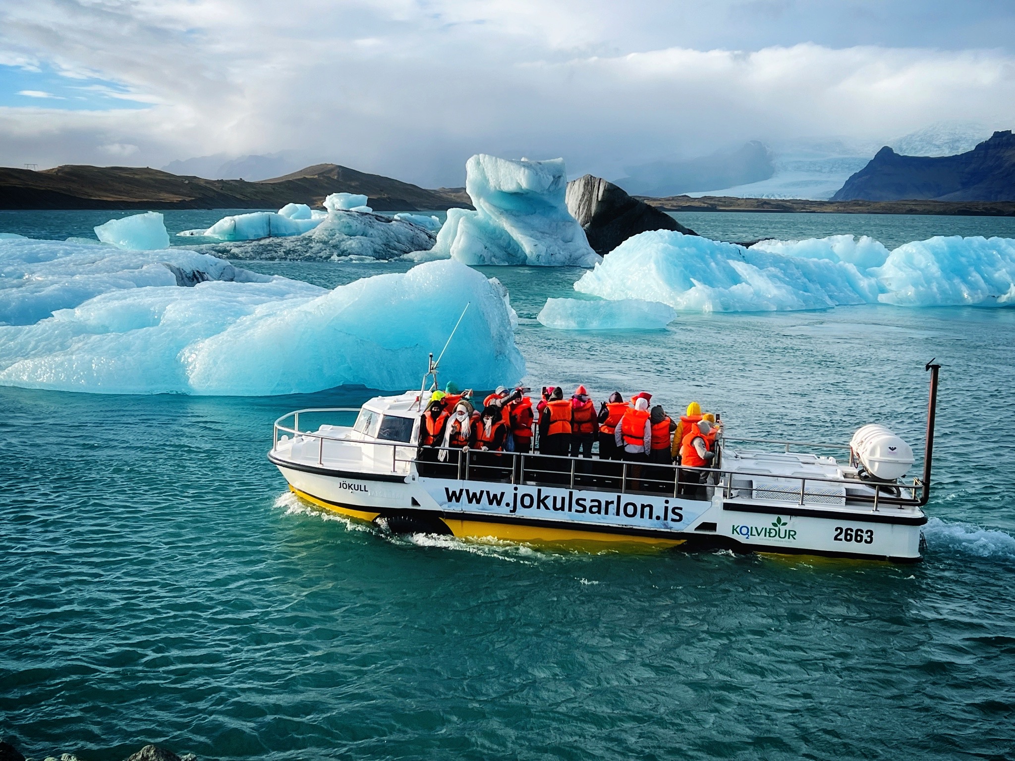 Frozen Majesty: A Journey Through Iceland’s Icy Waters by Linda Mui