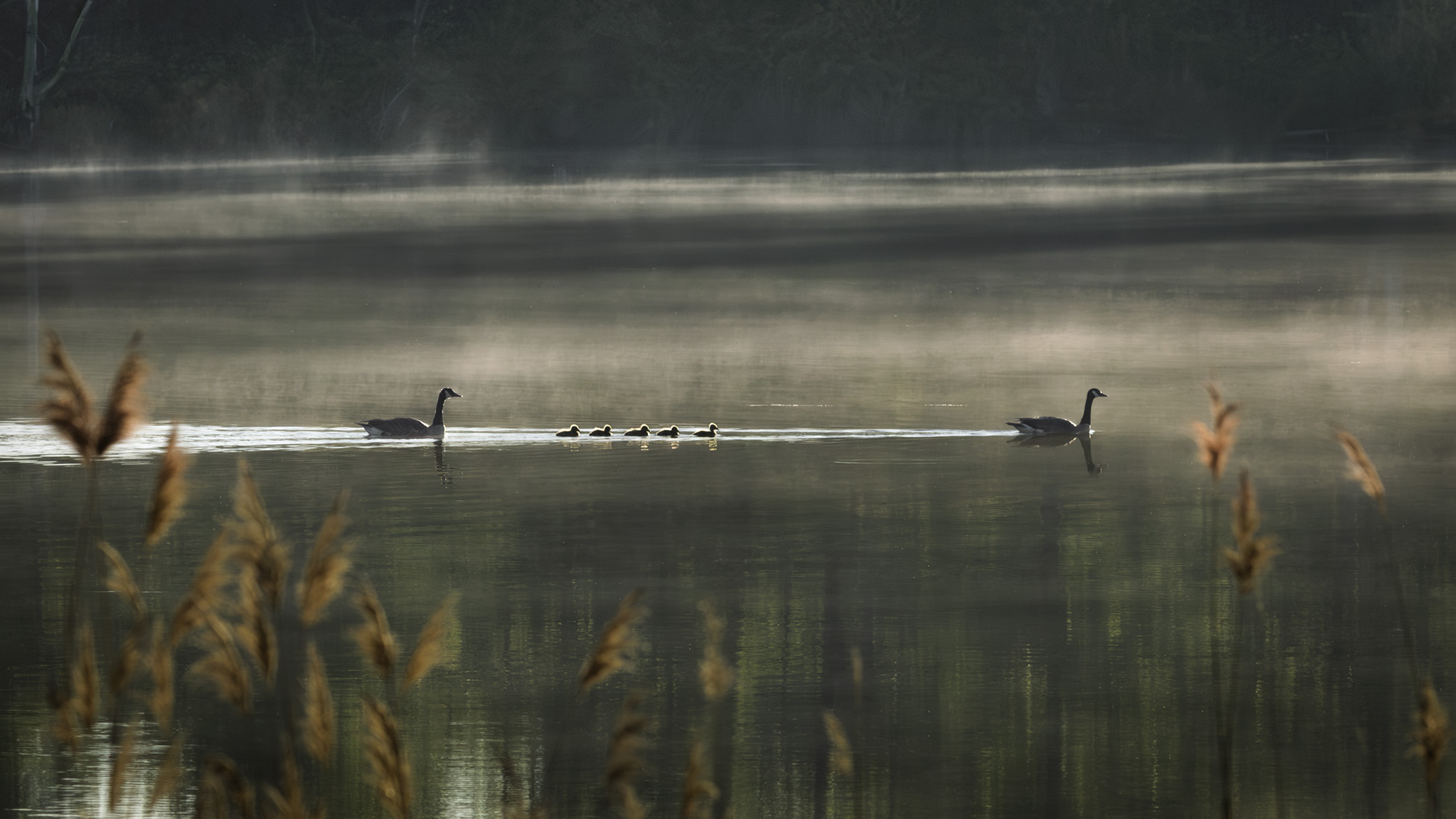 Canadian Family  by Jim Overfield
